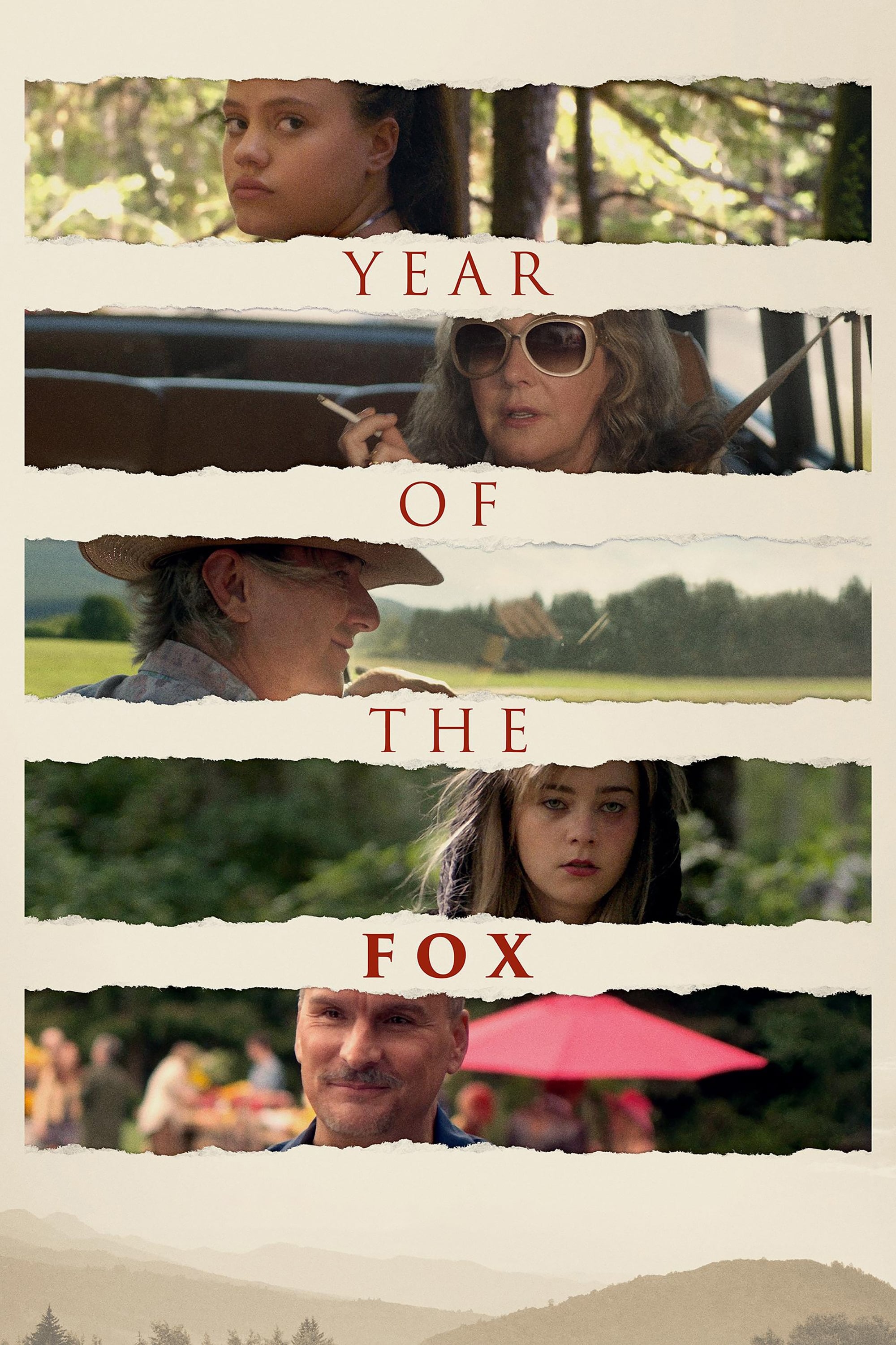 Постер Year of the Fox
